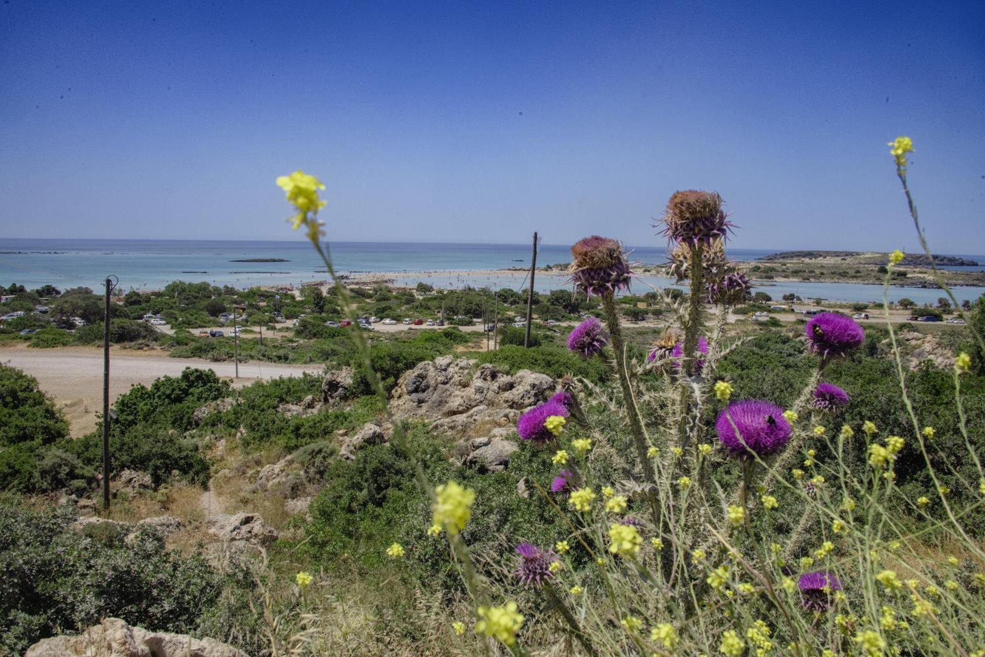 Villa Demetra Kíssamos Oda fotoğraf